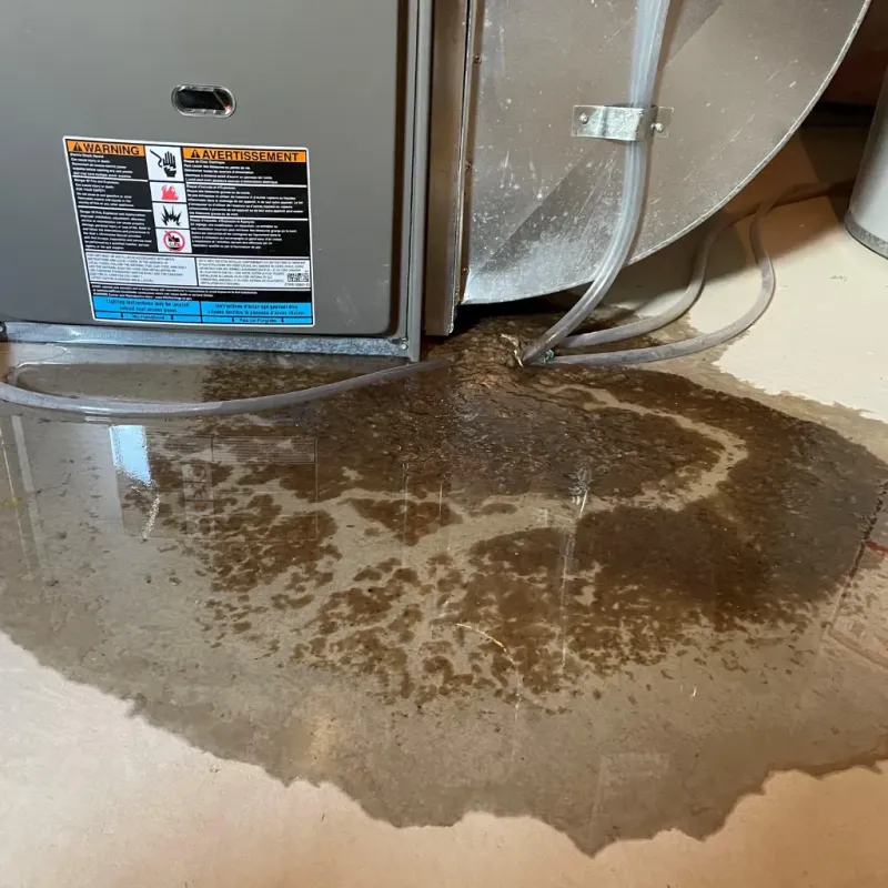 Appliance Leak Cleanup in Country Squire Lakes, IN